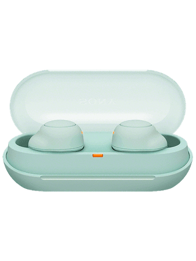 WF-C500 Mint Case Open ON