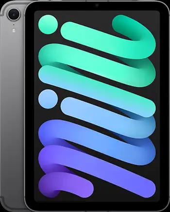 iPad mini Space Gray 1
