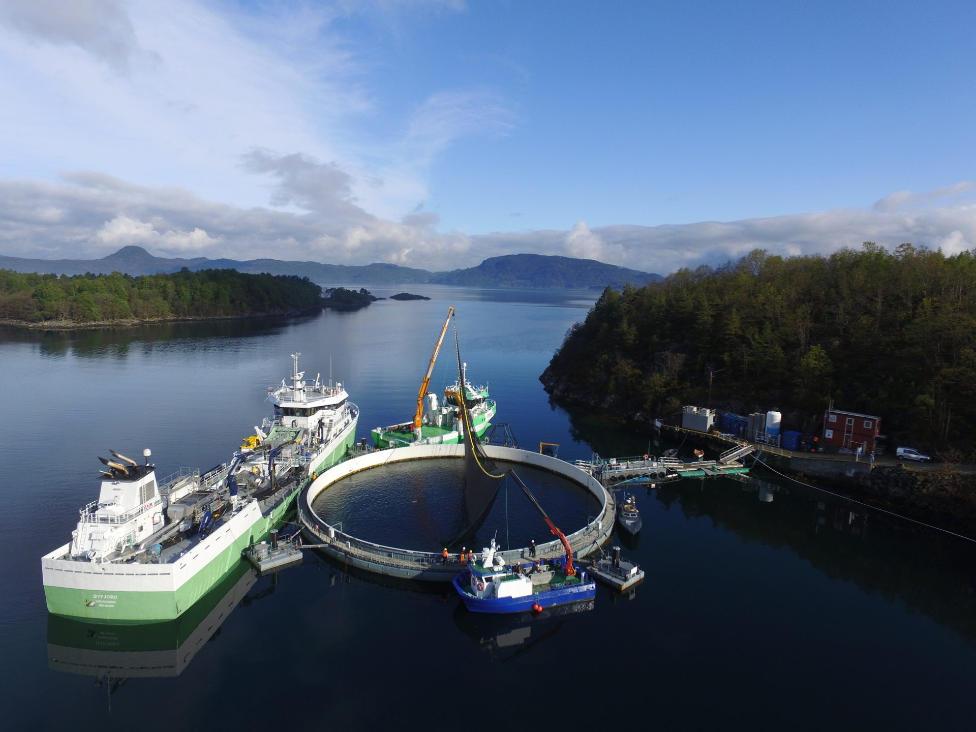 Ships and watercrafts in a fjord