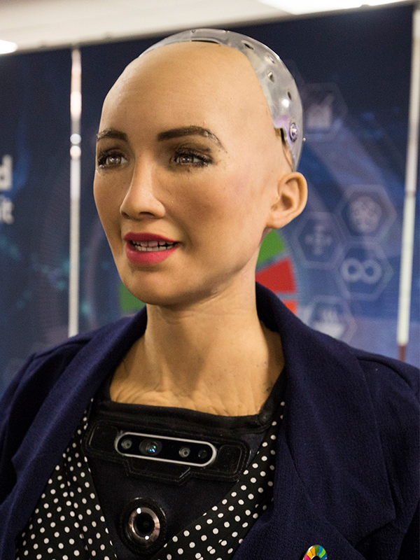 Robot