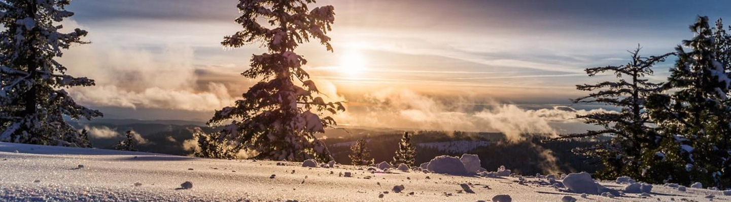 Snødekt landskap badet i sol