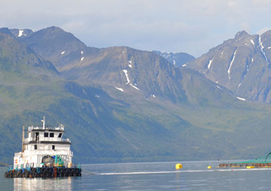 Fiskeoppdrettsanlegg på sjøen 