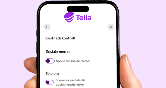 Skjermbilde som viser hvordan man enkelt skrur på SoMe-sperre